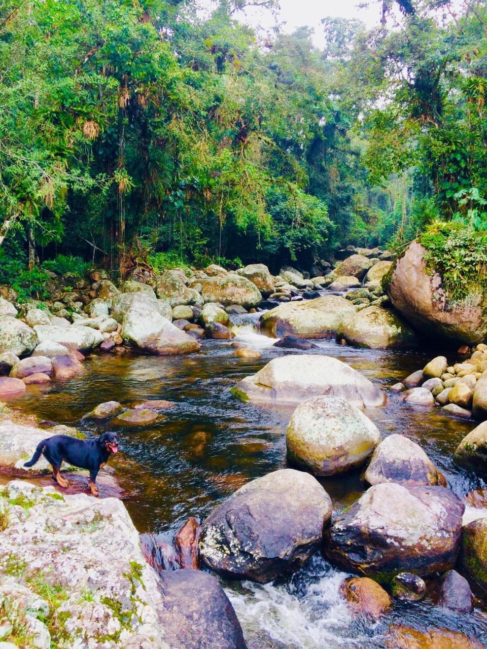 Eco Chales Caminho Das Aguas Barra Grande  Exterior foto